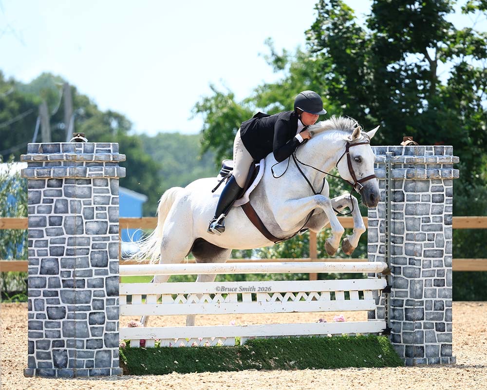 A Winding Hill rider jumping a gray horse over a white fence at a show