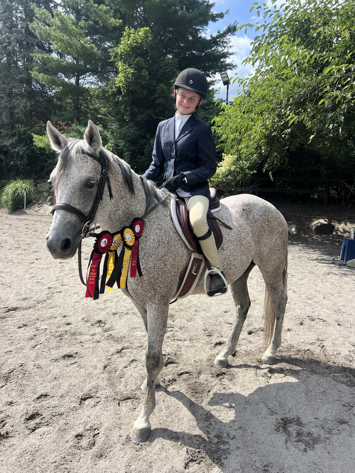 Smiling rider on a gray horse with horse-show ribbons at Winding Hill