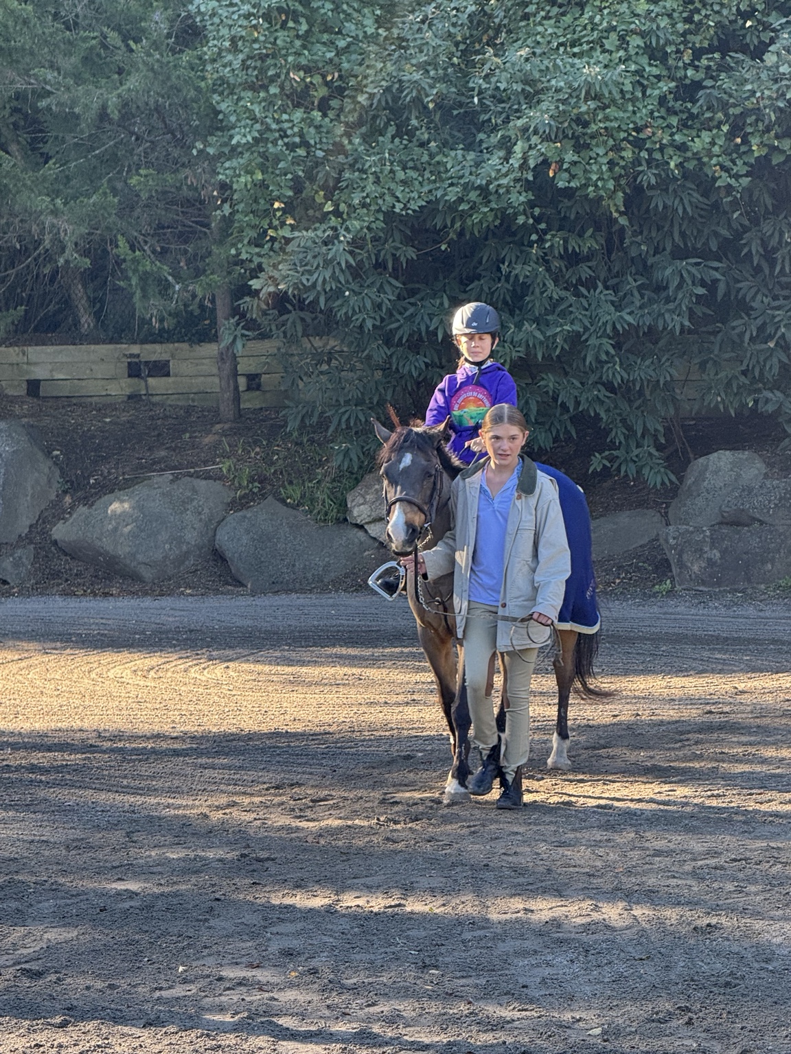 Rider on a bay pony being led through the show ring