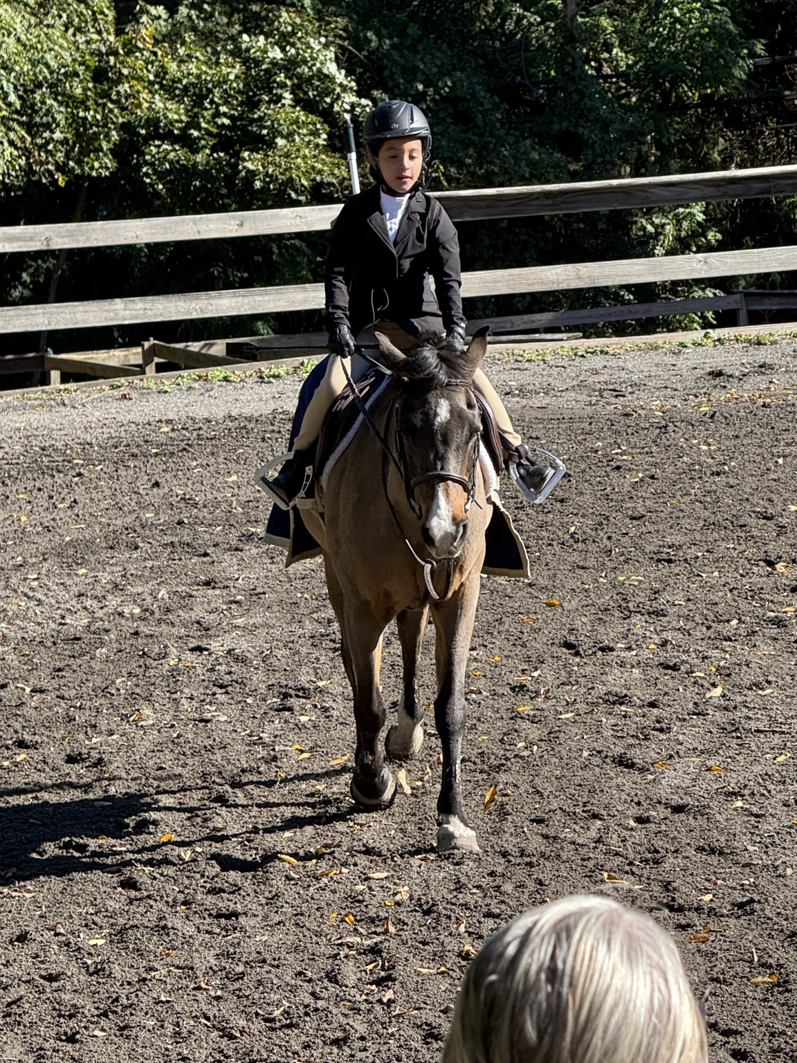 Young rider in a black show jacket on a bay pony