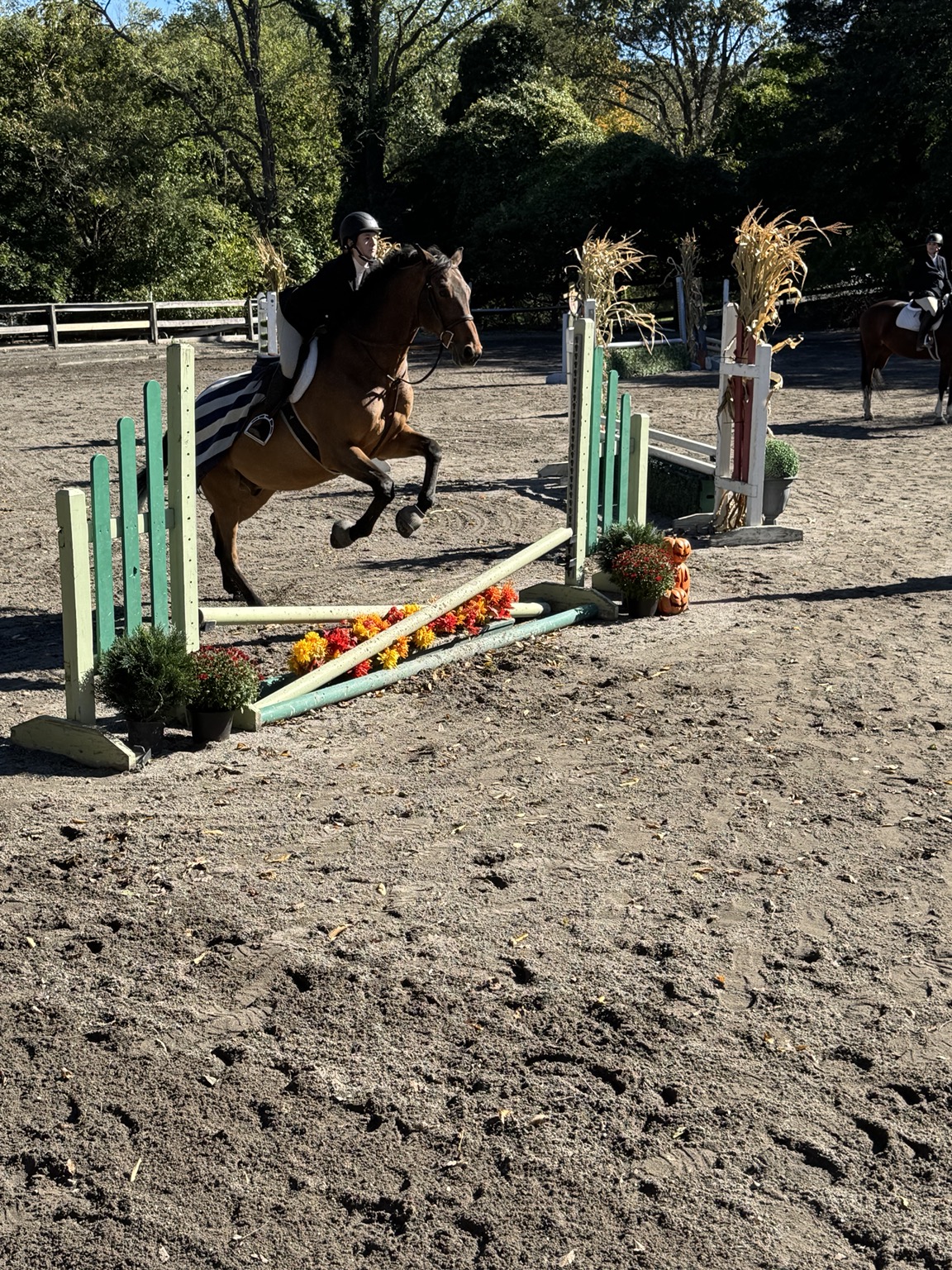 Rider in a black jacket and bay horse taking off over an autumn crossrail