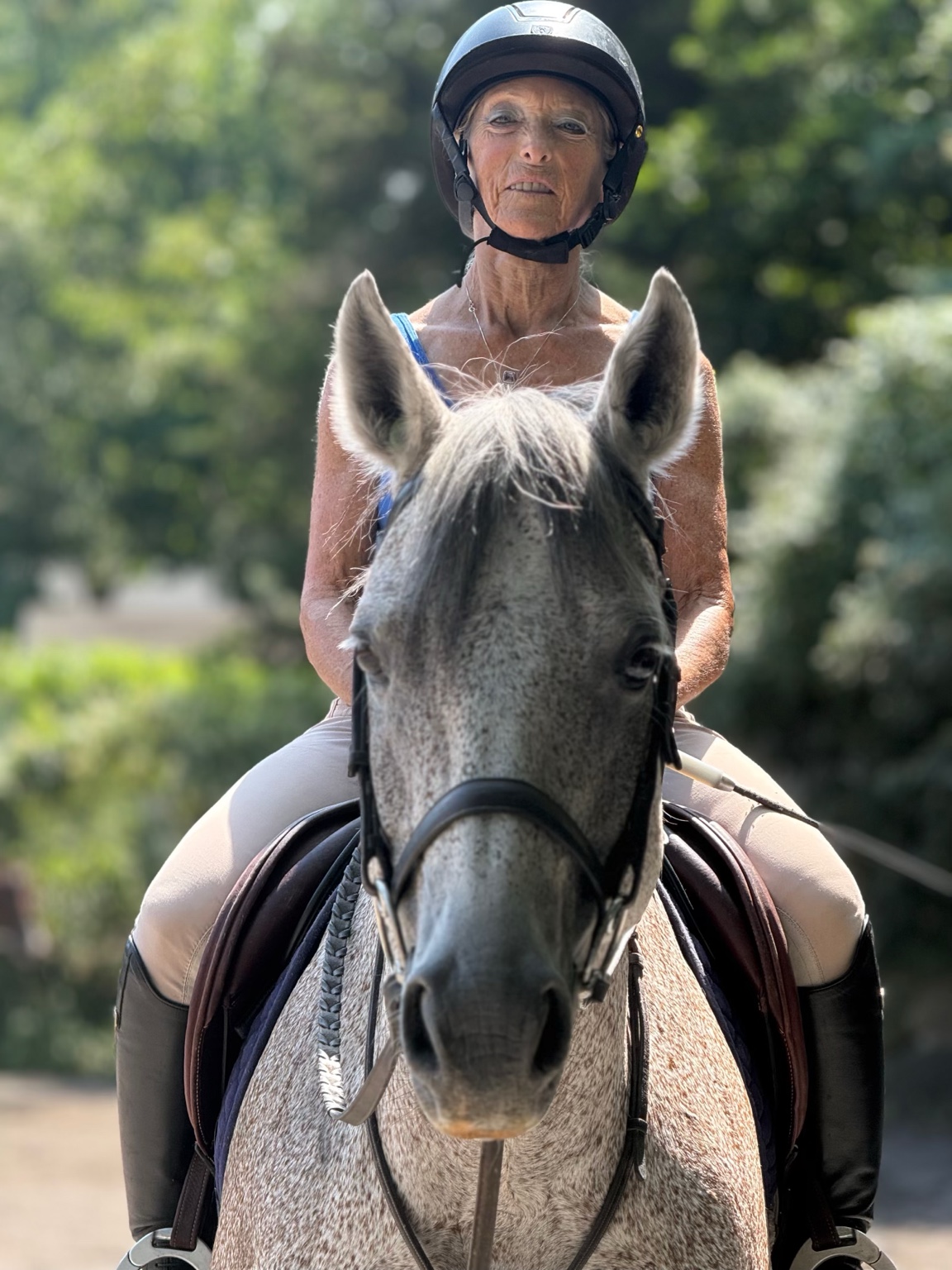 Adult rider on a gray horse at Winding Hill Stables